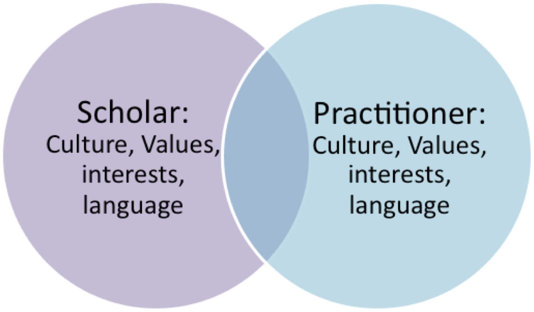 Figure 1: Intersection of scholar-practitioner worlds