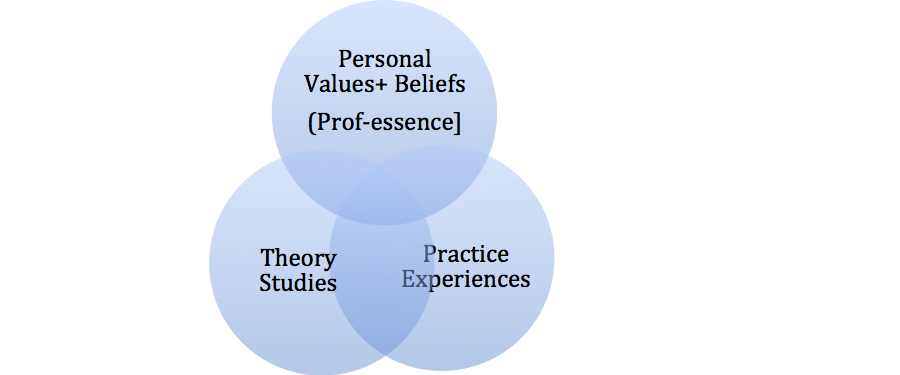 Figure 1. A Professional Development Place – of Intersection and Integration